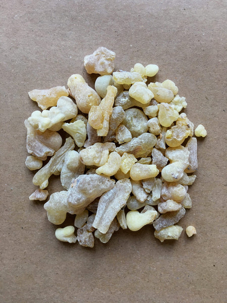Premium Somalian Frankincense Resin (Boswellia Sacra) | Incense Resins