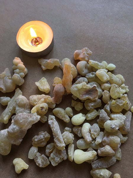 Premium Somalian Frankincense Resin (Boswellia Sacra) | Incense Resins