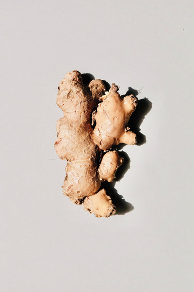 Ginger Incense | Kayuragi by Nippon Kodo