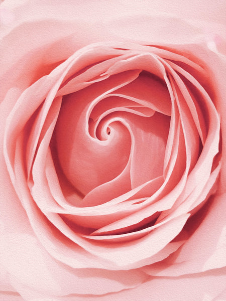 Rose Incense | Kayuragi by Nippon Kodo