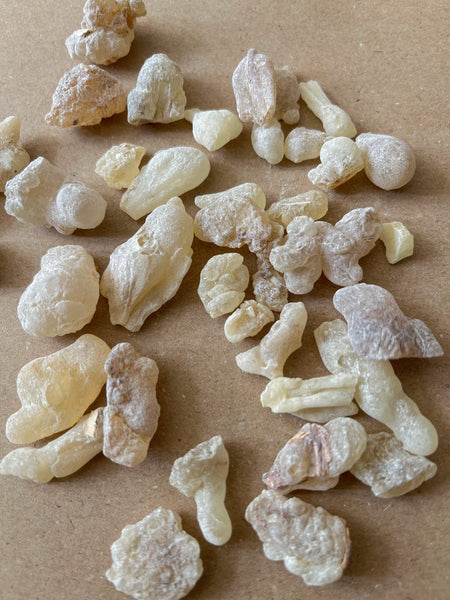 Royal Green Hojari Frankincense (Oman) | Incense Resins