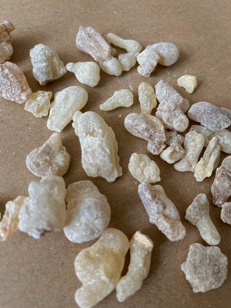 Royal Green Hojari Frankincense (Oman) | Incense Resins