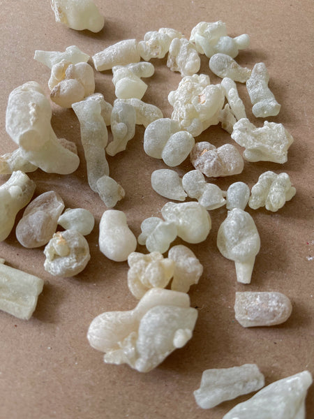 Super Green Hojari Frankincense (Oman) | Incense Resins