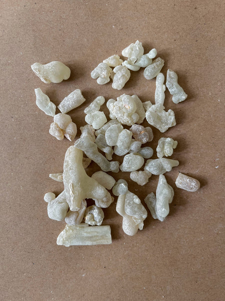 Super Green Hojari Frankincense (Oman) | Incense Resins