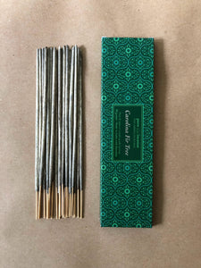 Carolina Fir | Absolute 20gm by Pure Incense