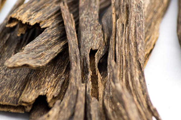 Aloeswood Incense | Kayuragi by Nippon Kodo