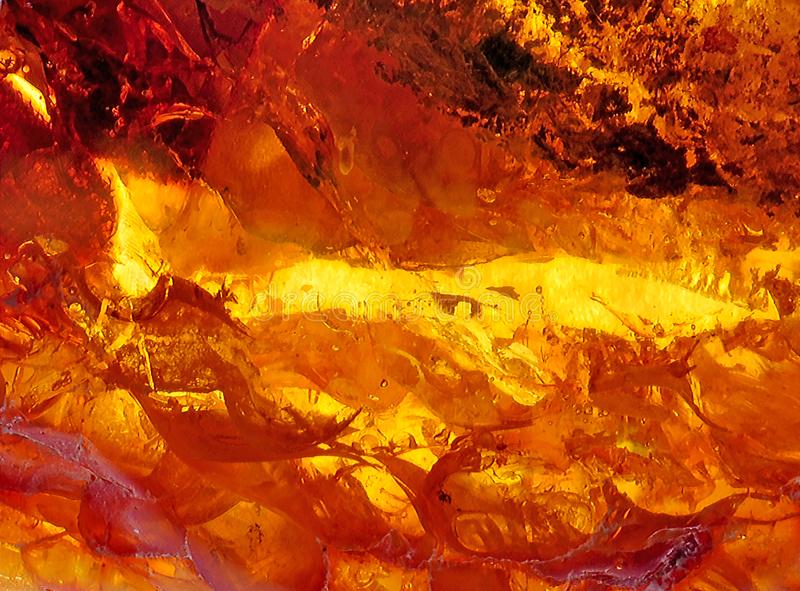 Amber Incense Sticks - Temple Of Incense Amber Incense Sticks - Temple Of Incense