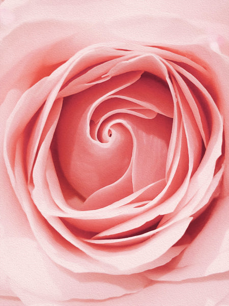 Rose Incense | Kayuragi by Nippon Kodo